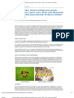 Moringa Oleífera, Alimento Ecológico para Ganado Vacuno, Porcino, Equino, Aves y Peces, para Alimentación Humana, También para Producción de Etanol y Biodiesel - Engormix