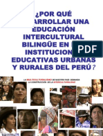 1.-Fundamentos de La Eib