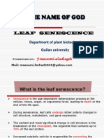 Affect of Phytohormons in Leaf Senescence