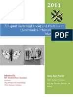 A Report On Brinjal Shoot and Fruit Borer and Its Management