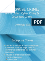 Enterprise Crime