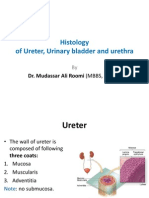 Histology of Ureter, Urinary Bladder and Urethra by Dr. Roomi