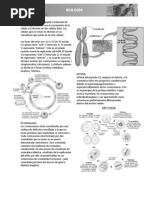 El Ciclo Celular