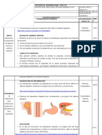 Sesion de Aprendizaje Sistema Digestivo