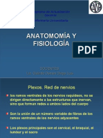 Anatomia Topografica y Cabeza