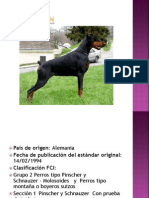 El Doberman