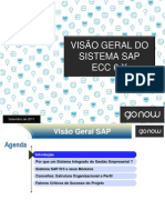 Visão Geral SAP