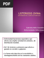 Listeriosis Ovina