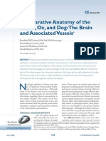 Comparative Anatomy of The Horse, Ox, and Dog-The Brain and Associated Vessels