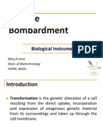 Particle Bombartment PPT Tomorw - PPT - Finishing