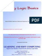 Fuzzy Logic Basics VK