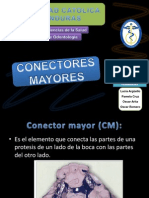 Conectores Mayores en Protesis Removible