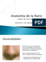 Anatomía de La Nariz