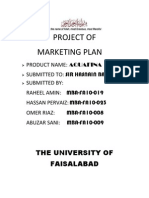 Project of Marketing Plan