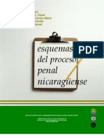 Esquema Proceso Penal Nic-2