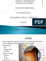 UVEITIS