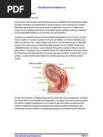 Evolucion Clinica Del Parto