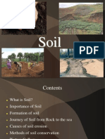 Soil