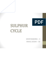 Sulphur Cycle: Mihir Babaria - 4 Rahul Doshi - 59