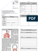 Práctica de Pulmones