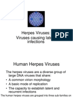 Herpes Viruses: Viruses Causing Latent Infections