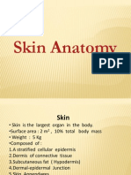 Skin Anatomy