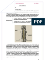 Medula Espinhal