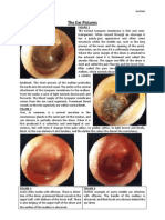 The Ear Pictures