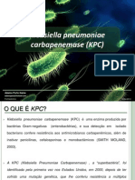 Klebsiella Pneumoniae Carbapenemase (KPC)