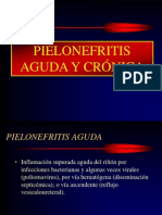 Patologia de La Pielonefritis Aguda y Cronica