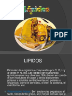 Lipidos Clase Usmp - Semanana 15