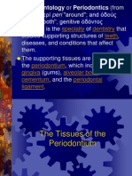 1 The Tissues of The Periodontium