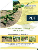 CENTA. Guía Técnica Del Cultivo de Plátano