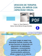 Intervencion de Terapia Ocupacional en Niños Con Discapacidad Visual