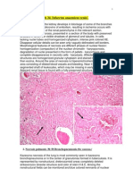 Pathology Slides in English (Little Bit Bulgarian Too:)