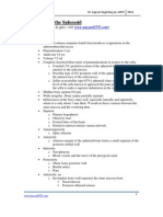 Approaches To The Sphenoid