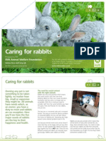 Rabbit Care Leaflet