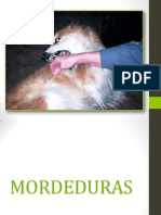 Mordeduras