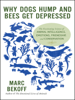 Why Dogs Hump and Bees Get Depressed: The Fascinating Science of Animal Intelligence, Emotions, Friendship, and Conservation