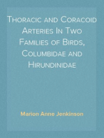 Thoracic and Coracoid Arteries In Two Families of Birds, Columbidae and Hirundinidae