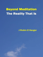 Beyond Meditation The Reality That Is