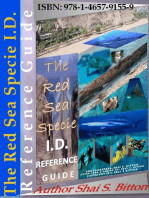 The Red Sea Specie I.D. Reference Guide