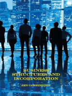 Business Structures and Incorporation