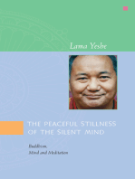 The Peaceful Stillness of the Silent Mind: Buddhism, Mind and Meditation