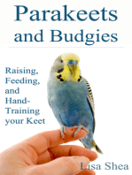 Parakeets And Budgies: Raising, Feeding, And Hand-Training Your Keet