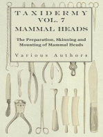 Taxidermy Vol. 7 Mammal Heads - The Preparation, Skinning and Mounting of Mammal Heads