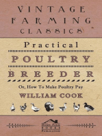 Practical Poultry Breeder - Or, How to Make Poultry Pay