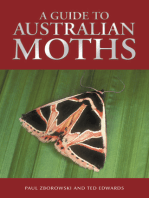 A Guide to Australian Moths