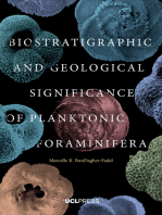 Biostratigraphic and Geological Significance of Planktonic Foraminifera