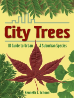 City Trees: ID Guide to Urban & Suburban Species